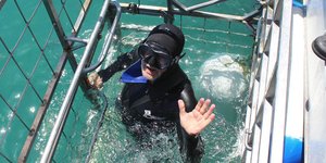 Marine Dynamics hosted Minister of Tourism, Derek Hanekom (Image courtesy of Marine Dynamics)